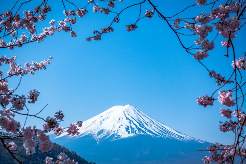 Illustrative destination scenery for A Mount Fuji Escape